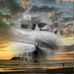 Peter Jansen - Facebook