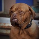Peter Jansen - @jansen5256 - Instagram
