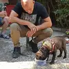 Peter Jansen - @peter.jansen58 - TikTok