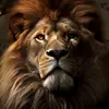Peter Jean - @peter.jean27 - TikTok