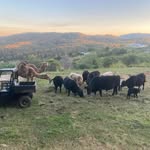 Peter Johnston - @peter.johnston.9400 - Instagram