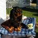 Peter Johnston - Facebook
