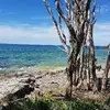 Peter Johnston - @peterjohnston2 - TikTok