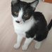 Pieter Johnston - Facebook
