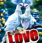 Peter Jose - Facebook