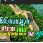 @peter.joyce - Instagram
