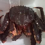 Peter Jun Perez - Facebook