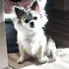 Peter Kafka - @peter.kafka5 - TikTok