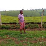 Peter Kamande - @peterkamande1 - Instagram