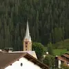 peterkampf492 - @peterkampf492 - TikTok