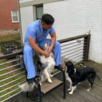 Peter Kang - @pkang21 - Instagram