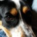 Peter Kania - Facebook