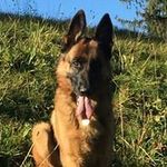 Peter Kaufmann - @kaufmann.peter - Instagram