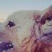 Peter Kauppi - Facebook