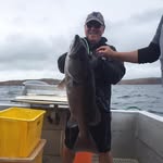 Peter Kean - @peter.kean.7564 - Instagram