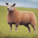 Peter keatley - @keatley.peter - Instagram