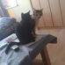 Peter Kelch - Facebook