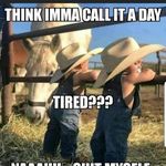peter kelder - @peterkelder1 - Instagram