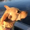 Peter Kell - @peter.kell13 - TikTok