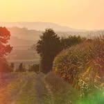 Peter Keller - @peterkeller607 - Instagram