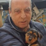 Peter Kellner - @peter.kellner.505 - Instagram