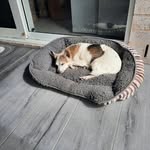 Peter Kellner - @peter.kellner.104 - Instagram