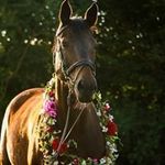 Peter Kelsch - @peter.kelsch.37 - Instagram