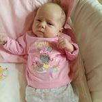 Peter Kelsch - @peterkelsch - Instagram