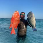 Peter Kemp - @peterkemp - Instagram