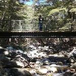 Peter Kennard - @kennard_pk - Instagram