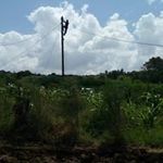 Peter M Kiama - @petermkiama - Instagram
