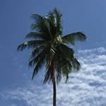 Peter Kieslinger - @peterkieslinger - Instagram