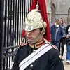 Peter Ellis - @peter.ellis.kg - TikTok