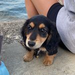Peter Guiseppe Kimble - @peterpeterpumpkineater76 - Instagram