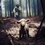 Peter Kinsella - @el_pedro138 - Instagram