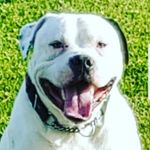 Peter Kinsella - @peterkinsella37 - Instagram