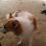 peter kinyua - @kinyua697 - Instagram