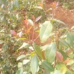 Peter Kinyua - @peterkinyua542 - Instagram