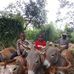Peter Kinyua - Facebook
