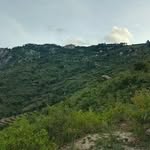 Peter Kioko - @peterkioko09 - Instagram