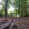 peterkiraly08 - @peterkiraly08 - TikTok