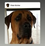 Peter Kircher - Facebook
