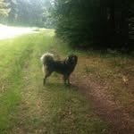 Peter Kirsch - @kirschpeter120 - Instagram