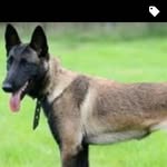 Peter Kirwan - @kirwanpeter4 - Instagram