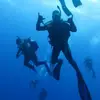 peterkirwan452 - @peterkirwan452 - TikTok