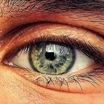 Kiss Péter - @peter.kiss.376 - Instagram