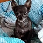 Peter - @peter.kiste - Instagram