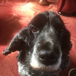Peter Kivlin - @kivlinpeter - Instagram