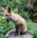 Peter Klapper - Facebook