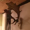 Peter Klapp - @pidde77 - TikTok